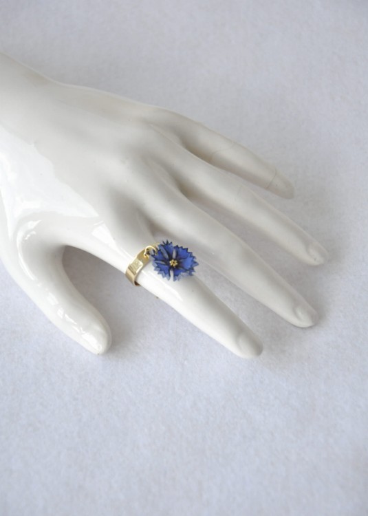 IMG_5673.jpeg