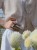 IMG_1222.jpeg