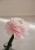 IMG_8369.jpeg