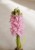 IMG_8350.jpeg
