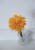 IMG_1251.jpeg