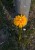 IMG_1222.jpeg