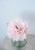 IMG_3419.jpeg
